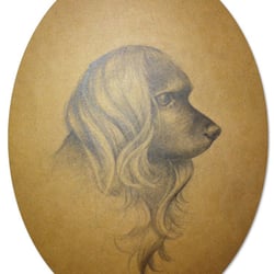 Daschund