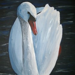 Schwan