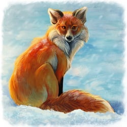 fuchs im schnee