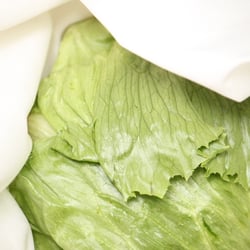 Eisbergsalat Nov. 2012