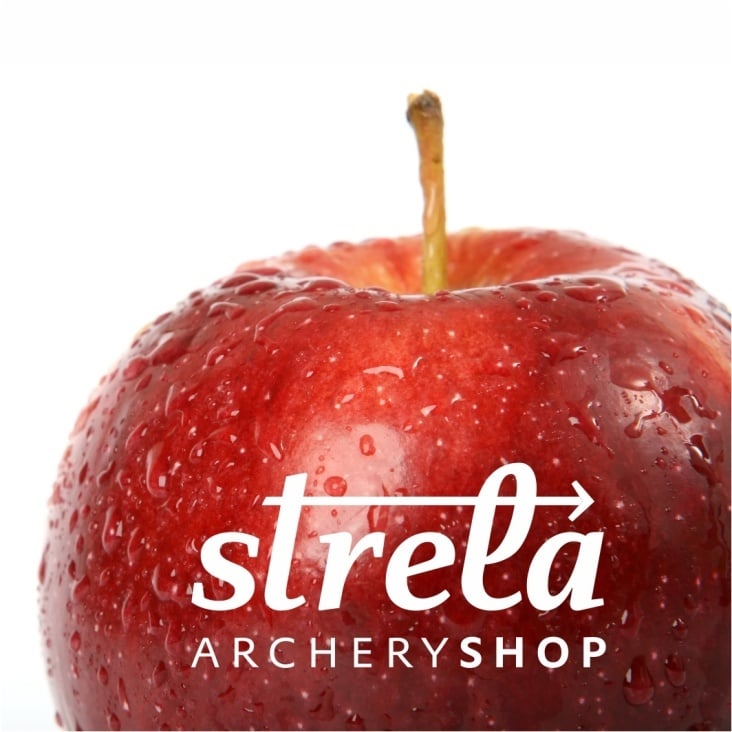 STRELAlogo