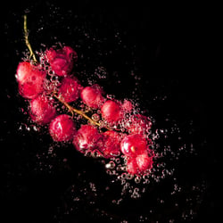 Foodfotografie – Portraithaus Worms