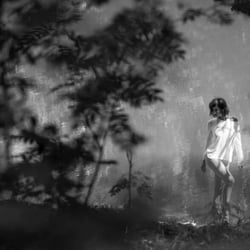 Reportage