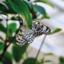 Botanischer Garten