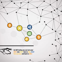 XNFTRADING Ad banner Exchange design