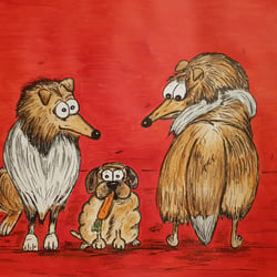 Collies & Mops