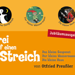 Thinemann Verlag, Layout für eine Buch-Sammelbox