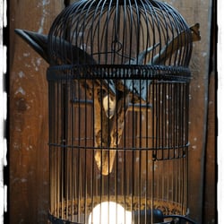 Tschleuchte Cage d´amour