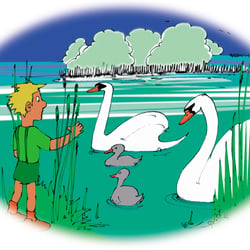 „Ihr seht fast so wie unsere Enten am Dorfweiher aus“, sagte Zwackel, „nur seid ihr viel, viel großer“.