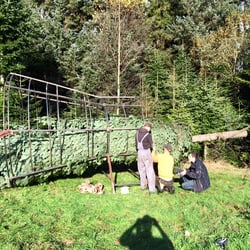 Weihnachtsbaum Plantagen 2016