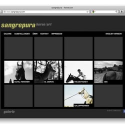 Website, Startseite mit Bildwechsel