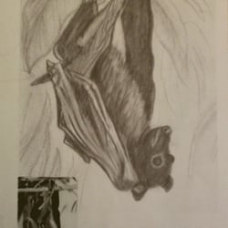 flughund