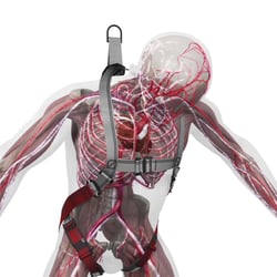 3D Animation / Bornack V-PROTECT Venenschutzpolster
