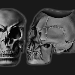 Skull-Candle 2Povs