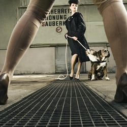 Die Kunstseidenen