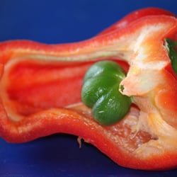 Food Fotografie 2012 Paprika halbiert