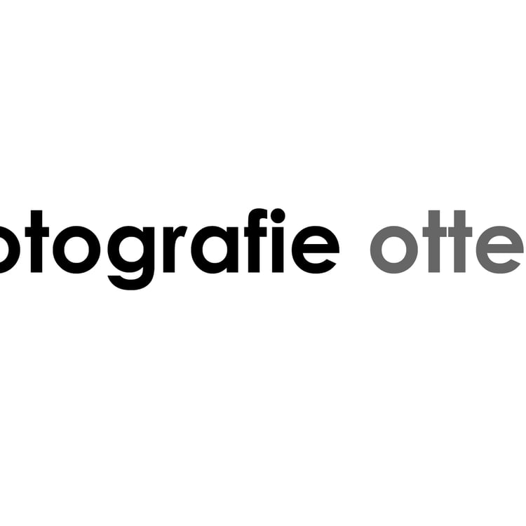 Ingo Otten