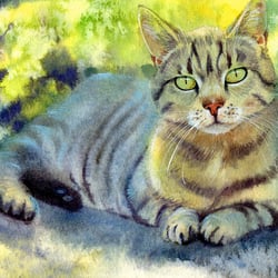Katzenportrait – Aquarell