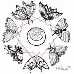Mothcircle