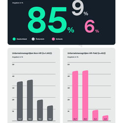 Marketingstudie, Illustration/Infografics, barrierefreies Whitepaper