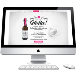 Holla! Responsive Website design