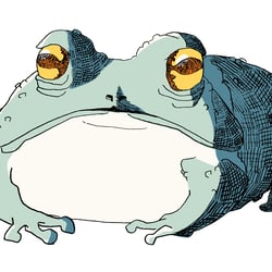 Frosch | Frog