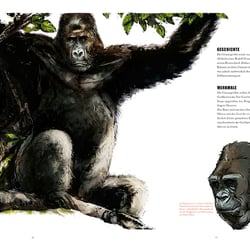 Gorilla (Sachbuch)
