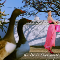 Bevis Photography