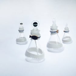 The soy sauce bottle