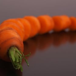 Möhre