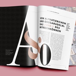 Layout für einen Artikel über das A&O