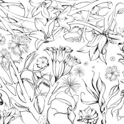Illustration für Schaufenster – Teil