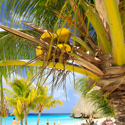 Playa Cas Abao, Curacao