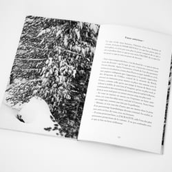 Buchcover, Layout und Satz