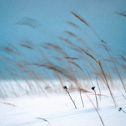 reportage-68