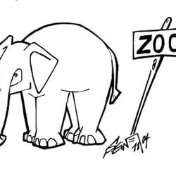 Zoo