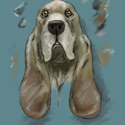 THE BASSET