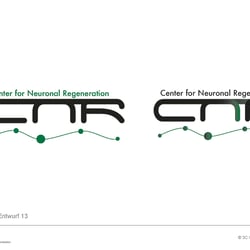 CNR Präsentation Logos wg 20090317 Seite 6
