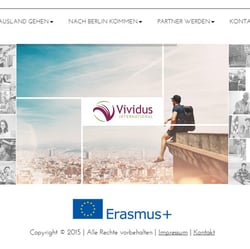 vividus-international