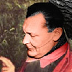 Ausshnitt