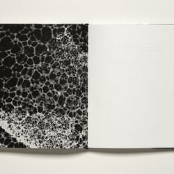 DEMENS BOOK 1