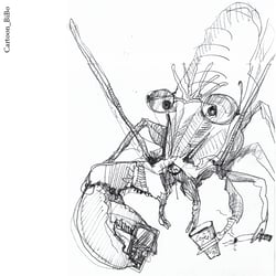 Cartoon_Krebs / Bibo