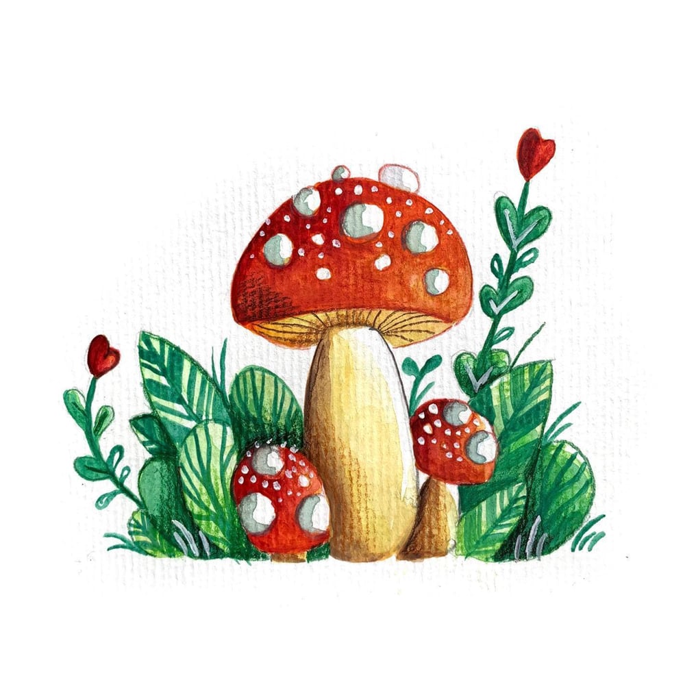 Pilz