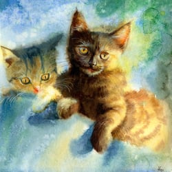 Kätzchen – Aquarell
