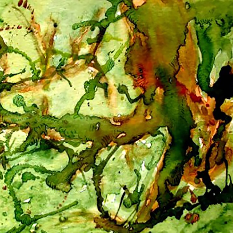 Alice Murace