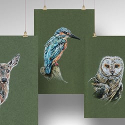 Tierillustrationen – Buntstift auf farbigem Hintergrund