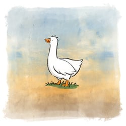 Kleine Gans