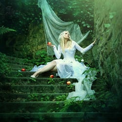 Reverie
