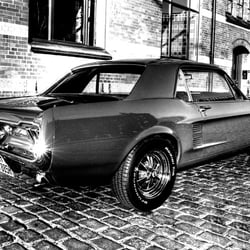 Mustang