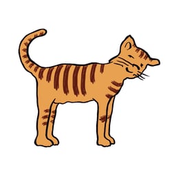 nette  Katze